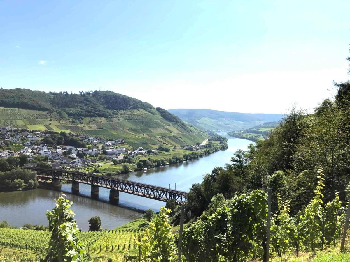 Ferienhaus Malu In Bremm Buitenkant foto